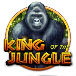 9000 bet jogos de poki cassino Terminal móvel